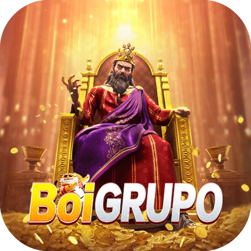 boigrupo logo
